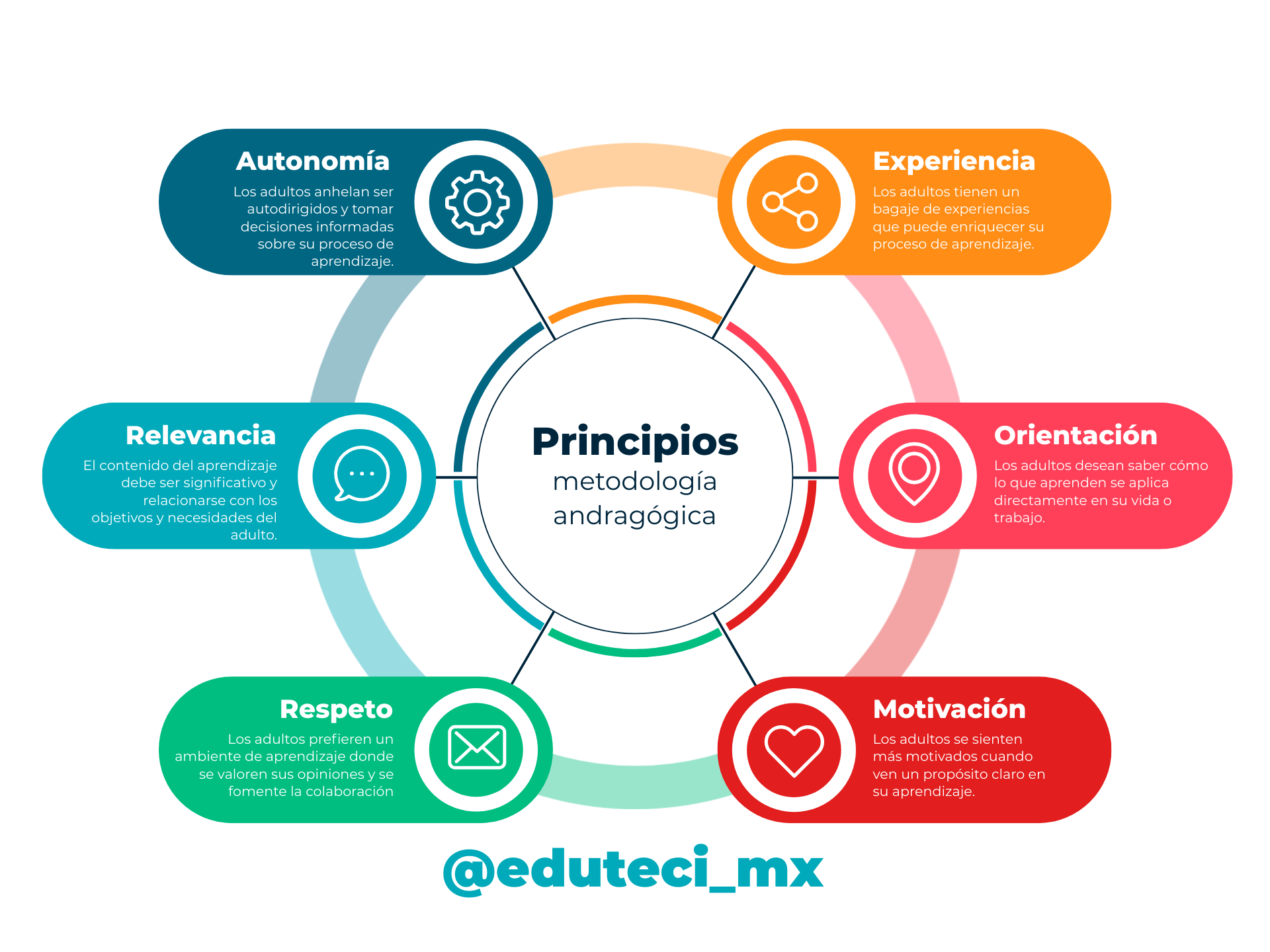 esquema gráfico que describe los siguientes puntos: