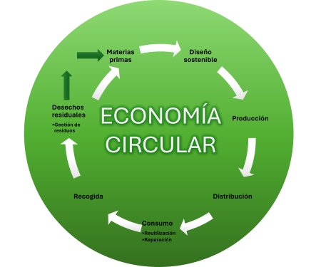 Modelo de economía circular en orden: materias primas, diseño sostenible, producción, distribución, consumo, recogida y por último desechos residuales.